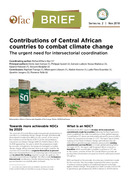 Contributions of Central African
countries to combat climate change
The urgent need for intersectori...