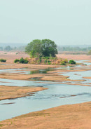 TRANSHUMANT PASTORALISM AND PROTECTED AREAS IN CENTRAL AFRICA: FROM CONFLICT TO PEACEFUL COEXISTENCE