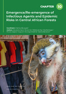 Emergence/Re-emergence of Infectious Agents and Epidemic Risks in Central African Forests
