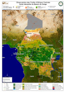 Observatoire des Forêts d'Afrique Centrale
Carte interactive du Bassin du Congo