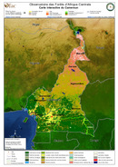 Observatoire des Forêts d'Afrique Centrale
Carte interactive du Cameroun
