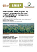 International financial flows to
support nature protection and
sustainable forest management
in Cent...