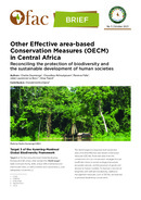 Other Effective area-based Conservation Measures (OECM) in Central Africa