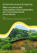 Rapport intégral 2025